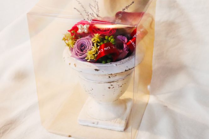 プリザーブドフラワー アレンジ 箱付 ボックス 花 長期 [littleprincess 石川県 宝達志水町 38600155]