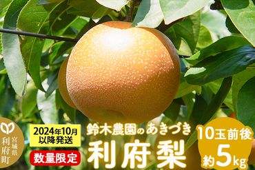 個数限定 利府梨（あきづき）5kg（10玉前後） 鈴木梨園|06_sne-010501