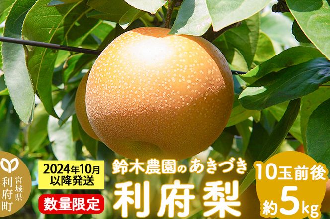 個数限定 利府梨（あきづき）5kg（10玉前後） 鈴木梨園|06_sne-010501