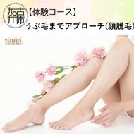 【体験コース】うぶ毛までアプローチ(顔脱毛)《 美容 脱毛 顔 うぶ毛 体験 女性 ご褒美 贅沢 息抜き 》【2500L11803】