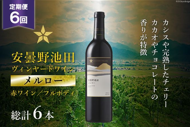 6回 定期便 赤ワイン サッポロ グランポレール 安曇野池田ヴィンヤード「メルロー」750ml 総計6本 [池田町ハーブセンター 長野県 池田町 48110619] 赤 ワイン フルボディ 濃厚 凝縮 お酒 酒