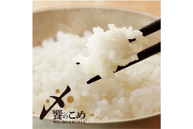 【期間限定発送】 米 令和7年 石川県産 石川米こしひかり【穂立】5kg [中橋商事 饗のこめ (あえのこめ) 石川県 宝達志水町 38601197] コシヒカリ お米 コメ 白米 精米 おこめ こめ 5キロ ごはん ご飯 国産