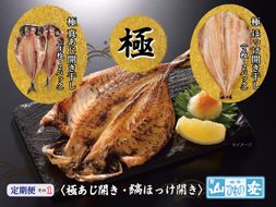 49-2365　【小田原　山安】おまかせ干物・煮魚セット　定期便【全３回】【 干物 神奈川県 小田原市 】