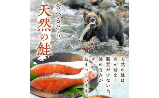 北海道産 新巻鮭 オス 切り身姿づくり 約2kg ( 海鮮 魚介 魚介類 お魚 魚 鮭 サケ さけ 切り身 パック 贈答 ギフト 贈り物 プレゼント 真空パック 熨斗 )【017-0019】