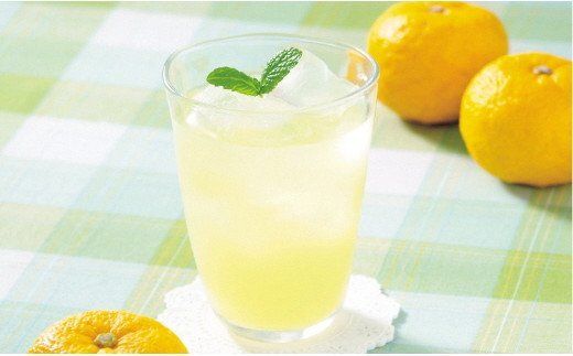 高知アイスの無添加ゆずドリンク「希釈用」1L×2本