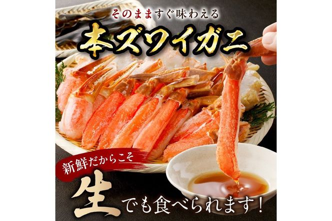 北見市加工 生冷本ズワイガニセット 1kg 昆布入り ( 蟹 かに 魚介類 カニ鍋 ズワイガニ ふるさと納税 贈答 熨斗 )【094-0052】