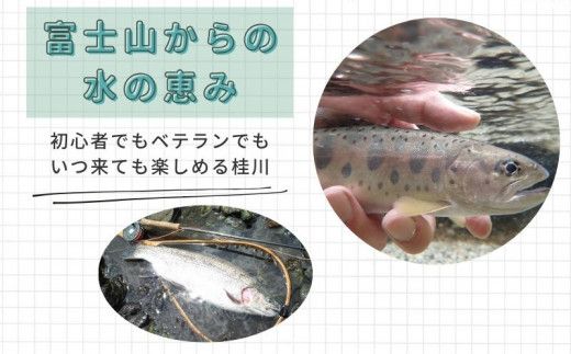 FP001 令和8年度 都留漁業協同組合年間遊漁証（全魚種）