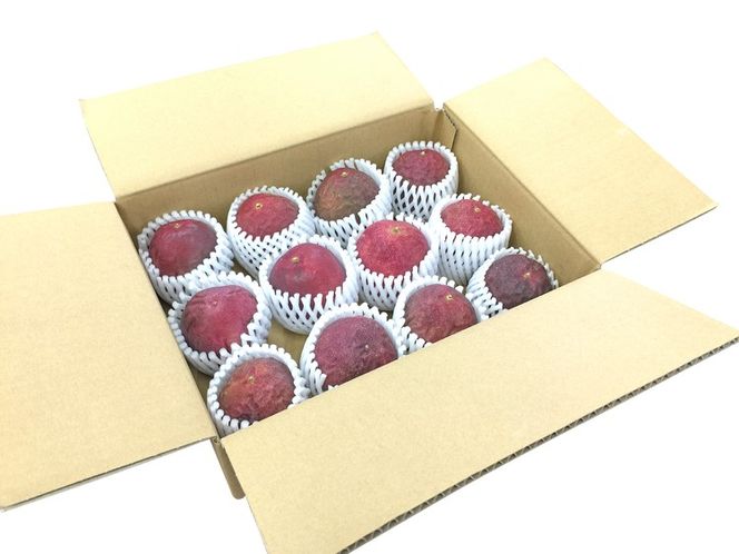 【数量限定】【期間限定】栃木県産ハウス栽培の絶品パッションフルーツ1kg ◇南国フルーツ◇ ※2026年6月～発送