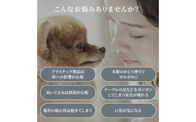 鹿の角 犬のおもちゃ ペット用 Mサイズ ( ペット おもちゃ 鹿 角 )【079-0003】