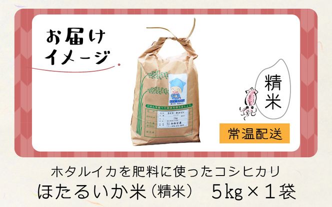 【先行予約】【新米】ほたるいか米（新米/精米５kg）※25年9月中旬以降順次発送予定