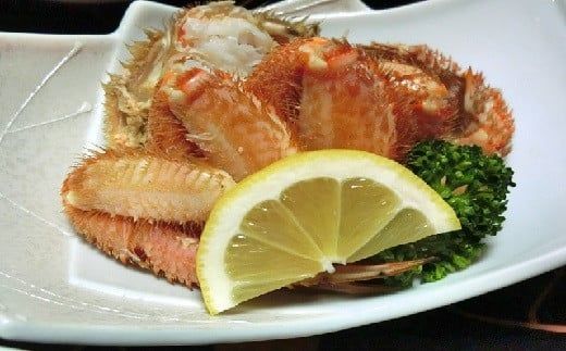 【令和8年発送】三陸産！活毛ガニ ( 500g×1～100杯 )【2026年2月〜4月発送】【配送日指定不可】【0tsuchi00958】【08】