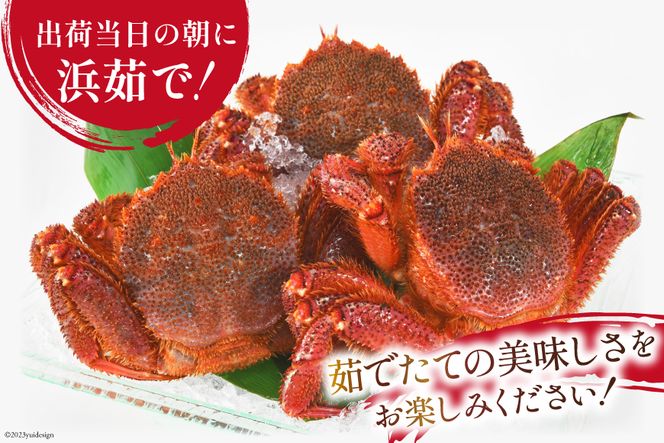 先行予約＞かに 三陸産浜ゆで毛ガニ 約500g×2 計1kg [村東商店 宮城県