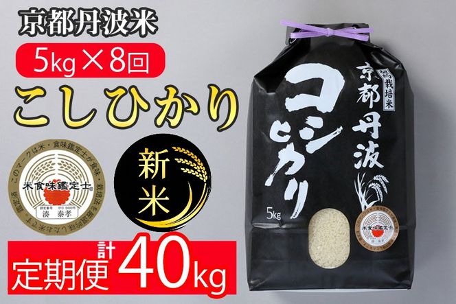 【定期便】令和7年産 新米 京都丹波米こしひかり5kg×8回 計40kg◇◆◇ 定期便 8回定期便 米 白米 5kg 8ヶ月 ※精米したてをお届け ｜ 米・食味鑑定士厳選 コシヒカリ 京都丹波産 ※北海道・沖縄・離島への配送不可