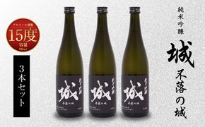 ＜【7日以内に発送！】令和6年産 木城町・毛呂山町 新しき村友情都市コラボ 日本酒 純米吟醸「城 ～不落の城」3本＞ K21_0028