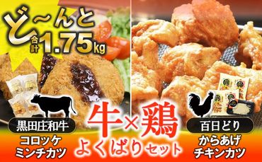 牛×鶏よくばりセット 1.75kg【黒田庄和牛コロッケ・播州百日どりからあげ】(10-62)