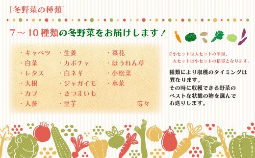 24-398．【2回定期便・早期受付・数量限定】＼とれたて新鮮／農家直送！アグリユウベの冬野菜セット（小）【配送月：2025年1月・2月】