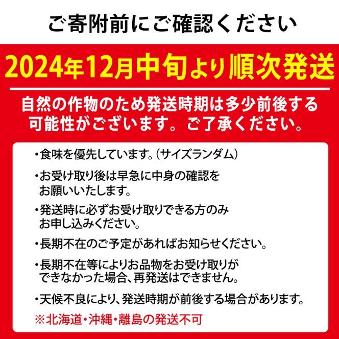 【0123903a】朝摘み完熟発送！牧内農園のさがほのか(4パック・約1kg) 苺 イチゴ フルーツ 果物 果実 数量限定 期間限定【牧内農園】