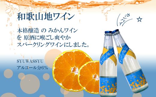 95 シュワッと爽やかスパークリングワインセット(A95-1)