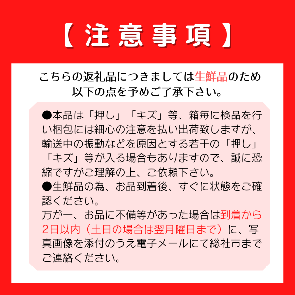 ニューピオーネ（赤秀・2房）岡山県総社市産【2025年産先行予約】25-026-002