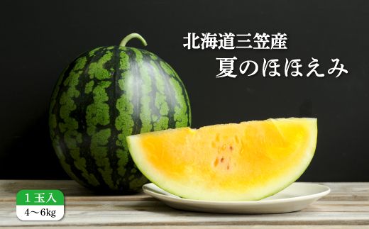 ykCO}szs2026NttFXCJĂ̂قق1(4`6kg)y01146z