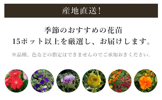 季節のおまかせ花苗セット【15ポット以上】  ANAR011