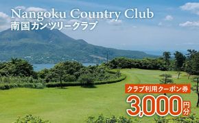 南国カンツリークラブ利用クーポン券（3,000円分）　K160-FT001