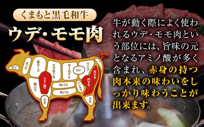 くまもと黒毛和牛 ウデ・モモスライス 500g ～ 2000g 牛肉 冷凍 《30日以内に出荷予定(土日祝除く)》 くまもと黒毛和牛 黒毛和牛 冷凍庫 個別 取分け 小分け 個包装 モモ スライス 肉 お肉 しゃぶしゃぶ肉 すきやき肉 すき焼き---mna_fudmm_30d_24_8500_500g---