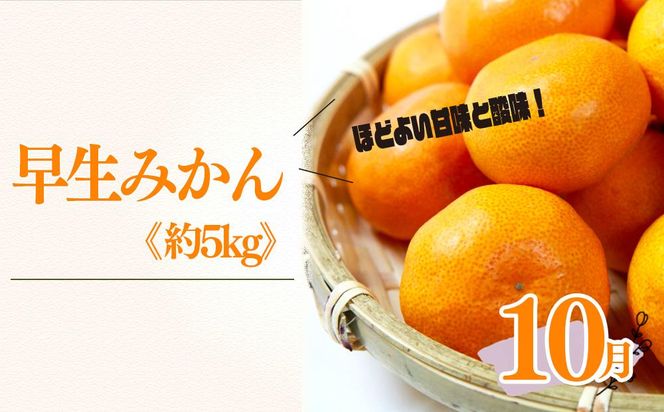定期便3回（8月・9月・10月） 有田川町の旬のフルーツをお届け！BZ111