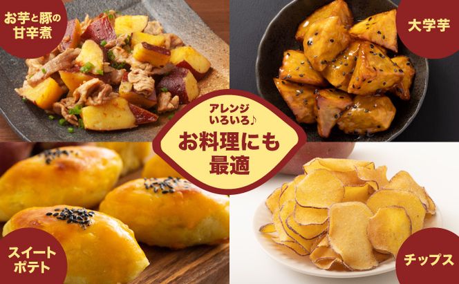 さつまいも 3種類 合計3kg 食べ比べ セット 詰め合わせ (金時