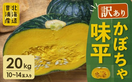 【訳あり】北海道 豊浦産 かぼちゃ 味平 20kg 10～14玉入り TYUH007