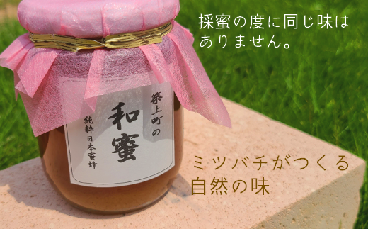 【福岡県築上町産】上村さん家の はちみつ 「 築上町の 和蜜 」600g《築上町》【上村　忍】[ABBX002]