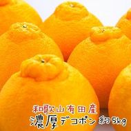 和歌山 有田 の 濃厚 大玉 デコポン 12 ～ 15玉 (約5kg)      AO046