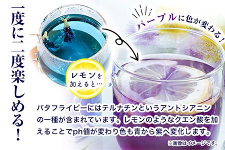 御船町 アンチャンティー 3袋(1袋5パック入り)《60日以内に出荷予定(土日祝除く)》福永幸山堂 アンチャンティー バタフライピー レモングラス 紅茶 お茶 青 青いお茶 3袋 15パック 送料無料---sm_att_60d_25_6500_3p---