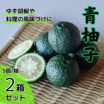 青柚子(5個入×2箱セット) [8月上旬-8月末頃発送][配送不可地域あり]※離島 ---sanagouchi_lcl_18_2hk---