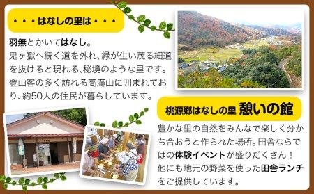 施設利用チケット 3000円 桃源郷はなしの里 岡山県矢掛町《30日以内に出荷予定(土日祝除く)》---iosy_tougent3_30d_23_11500_t---