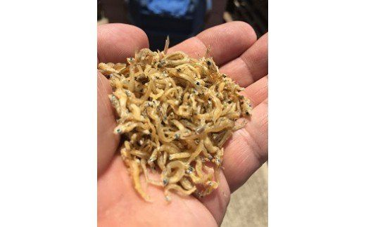 国産100%菜種油使用 サクサク新食感「ジャコぽりっ」 H063-019