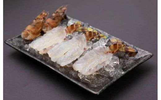 D275 水産庁長官賞受賞！生食用！活き〆超急速冷凍車えび