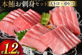 【高級旅館御用達】 本鮪 お刺身セット 大トロ 800g 中トロ 400g [豊洋海産流通 宮城県 気仙沼市 20563969] 魚 刺身 まぐろ マグロ 本マグロ 鮪 柵 本鮪 本まぐろ 本鮪柵 セット 詰め合わせ 魚介 海鮮 