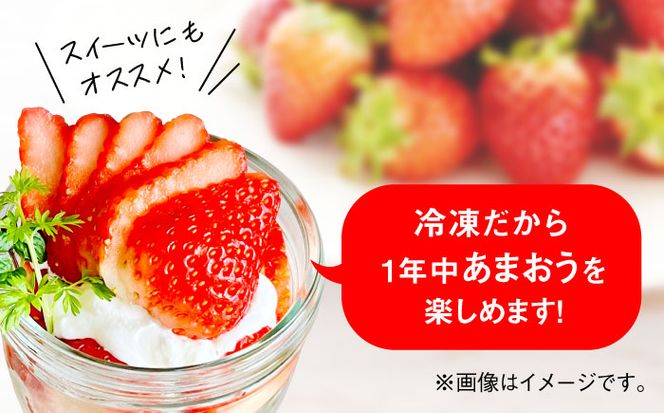 福岡県産【博多冷凍あまおう】約500g×4袋 合計約2kg《築上町》【株式会社H&Futures】[ABDG007]