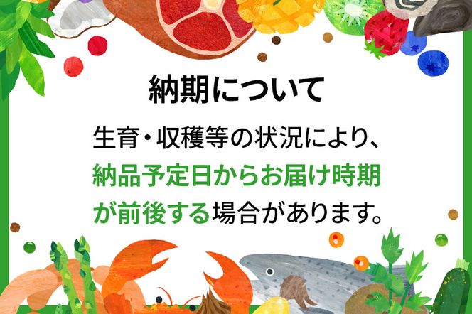 宮城県利府町産 採れたて たけのこ 皮付き2kg以上（2〜6本）筍 タケノコ 野菜 国産 新鮮 旬|06_ods-020201