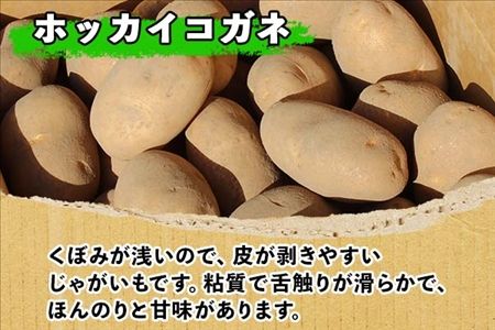 北海道 じゃがいも ホッカイコガネ 10kg 北海道産 十勝産 北海こがね 北海コガネ 北海黄金 ジャガイモ 芋 いも ポテト お取り寄せ まとめ買い 送料無料 十勝 士幌町【V06】