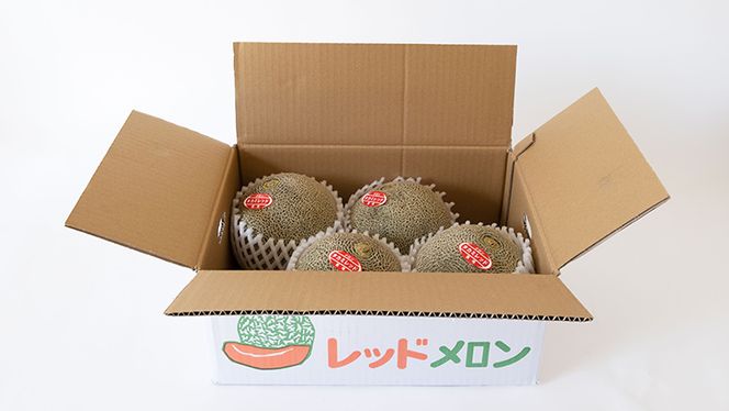 【 令和8年産 】【 先行予約 】 タカミレッドメロン 秀品 1箱 3玉～5玉入り 飯岡 メロン 貴味 タカミ 赤肉 果物 フルーツ 甘い [CG001ya]