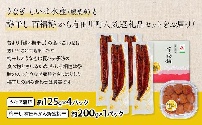 うなぎ蒲焼 4尾 合計 500g  紀州南高梅干 200g 有田みかん蜂蜜 塩分7％ セット Y022