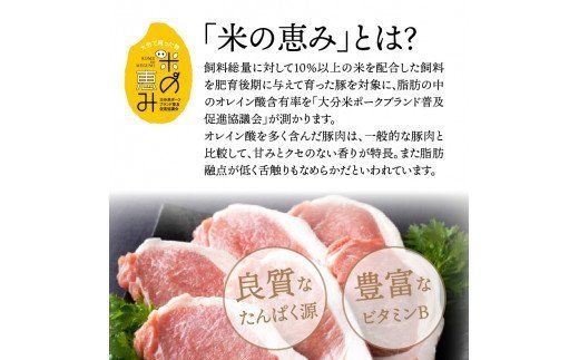 おおいた和牛と米の恵み豚のステーキ対決/計1.12kg_1217R