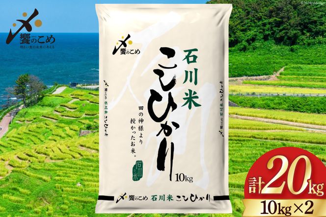 【期間限定発送】 米 令和7年 石川県産 石川米こしひかり【穂立】20kg （10kg ×2袋）[中橋商事 饗のこめ (あえのこめ) 石川県 宝達志水町 38601199] コシヒカリ お米 コメ 白米 精米 おこめ こめ 20キロ ごはん ご飯 国産