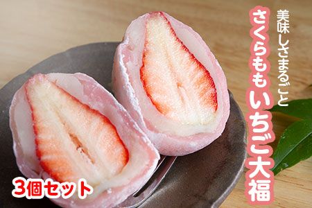 [CF]さくらももいちご大福 苺大福 いちご大福 3個 福屋 盛壽の郷[12月下旬-2月末頃出荷]徳島県 佐那河内村 送料無料 菓子 苺 デザート お取り寄せスイーツ さくらももいちご[配送不可地域あり](北海道・東北・沖縄・離島) ---sanagouchi_fky_2_3k---