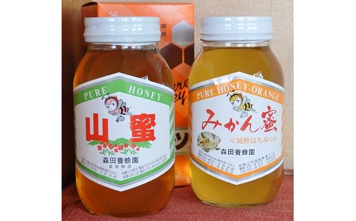 182 はちみつ2種(みかん蜜、山蜜) 各1.2kg(A182-1)(和歌山県 182 はちみつ2種(みかん蜜、山蜜) 各1.2kg(A182-1)(和歌山県
