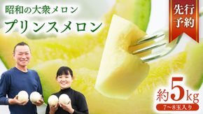 プリンスメロン ( 7～8玉 入り) 1箱 約 5kg フルーツ 果物 くだもの お取り寄せ 茨城県産 産直 直送 【 先行予約 5月下旬 以降発送 】【 令和7年産 】【 農家直送 】【 昭和の大衆メロン 】 [AX020ya]