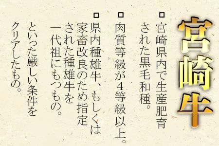 ＜宮崎牛サーロインステーキ ＆ 宮崎牛肩（ウデ）すき焼き肉セット 合計500g＞翌月末迄に順次出荷【b0381_ty】