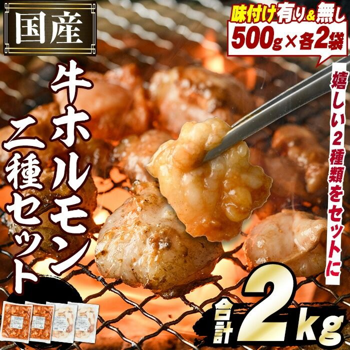 国産牛ホルモン2種セット(合計2kg) 国産 特産品 牛 小腸 味付 パック 詰め合わせ 詰合せ 炒め物 鍋 モツ おかず お弁当[スターゼン]akn031-01